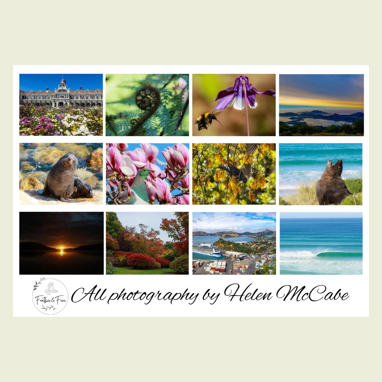 2026 Colours of Dunedin Calendar