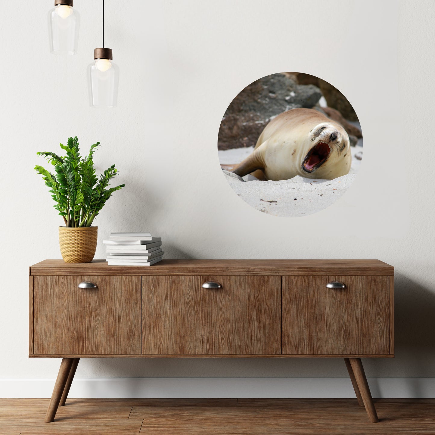 Yawning Sea lion decal - reusable