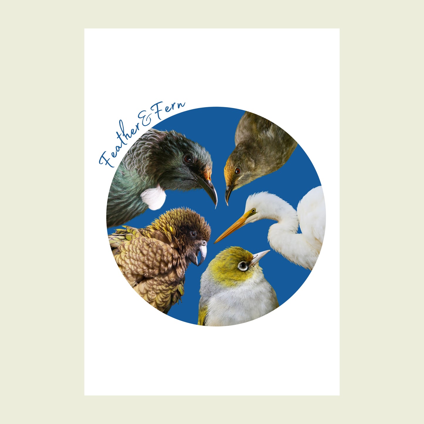 Folded greeting card - Multiple Birds Circle