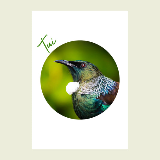 Folded greeting card - Classic Tui