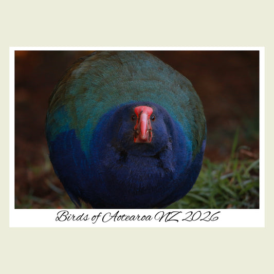 2026 Birds of Aotearoa NZ Calendar