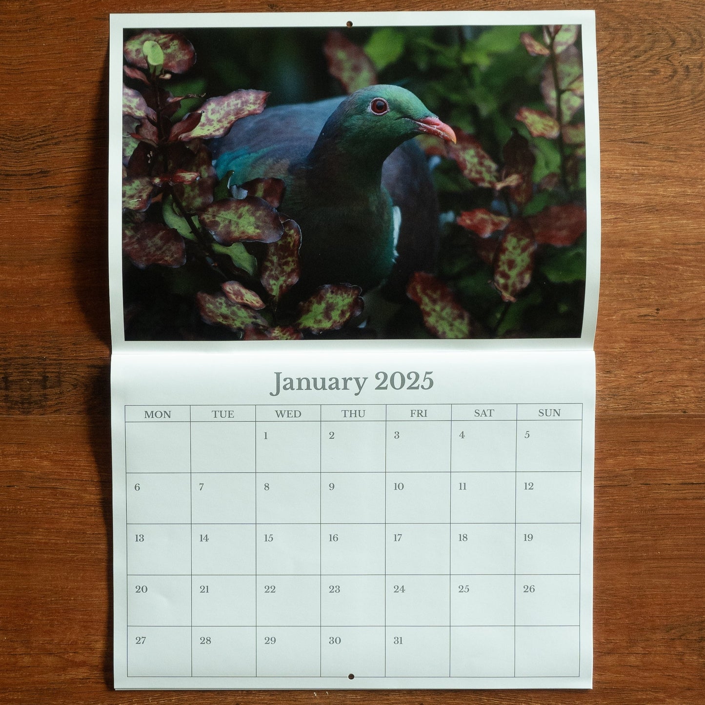 2025 Birds of Aotearoa NZ Calendar