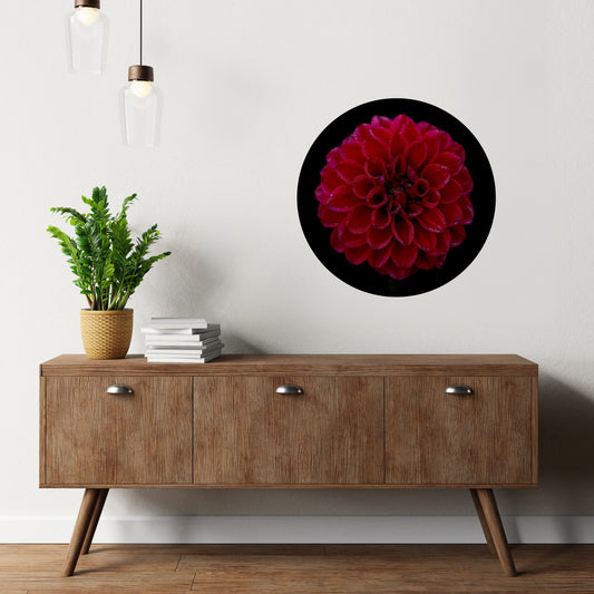 'Crimson Dahlia' decal - reusable